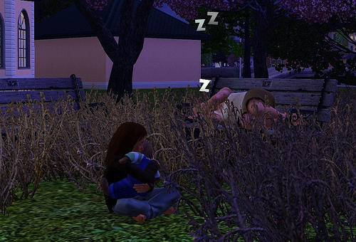 Sims 3, The - Бездомные Simsы. Начало